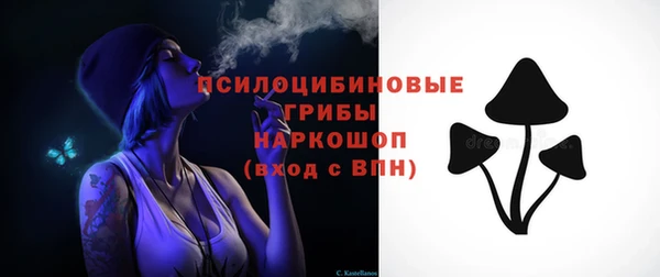 твердый Алзамай