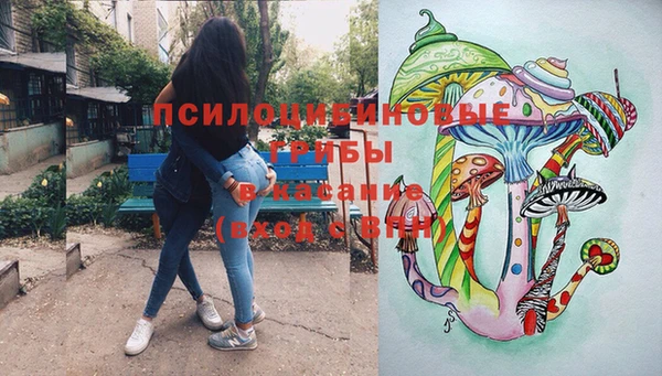 apvp Волоколамск