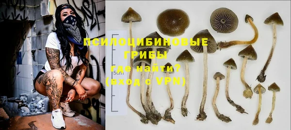 PSILOCYBIN Алексеевка